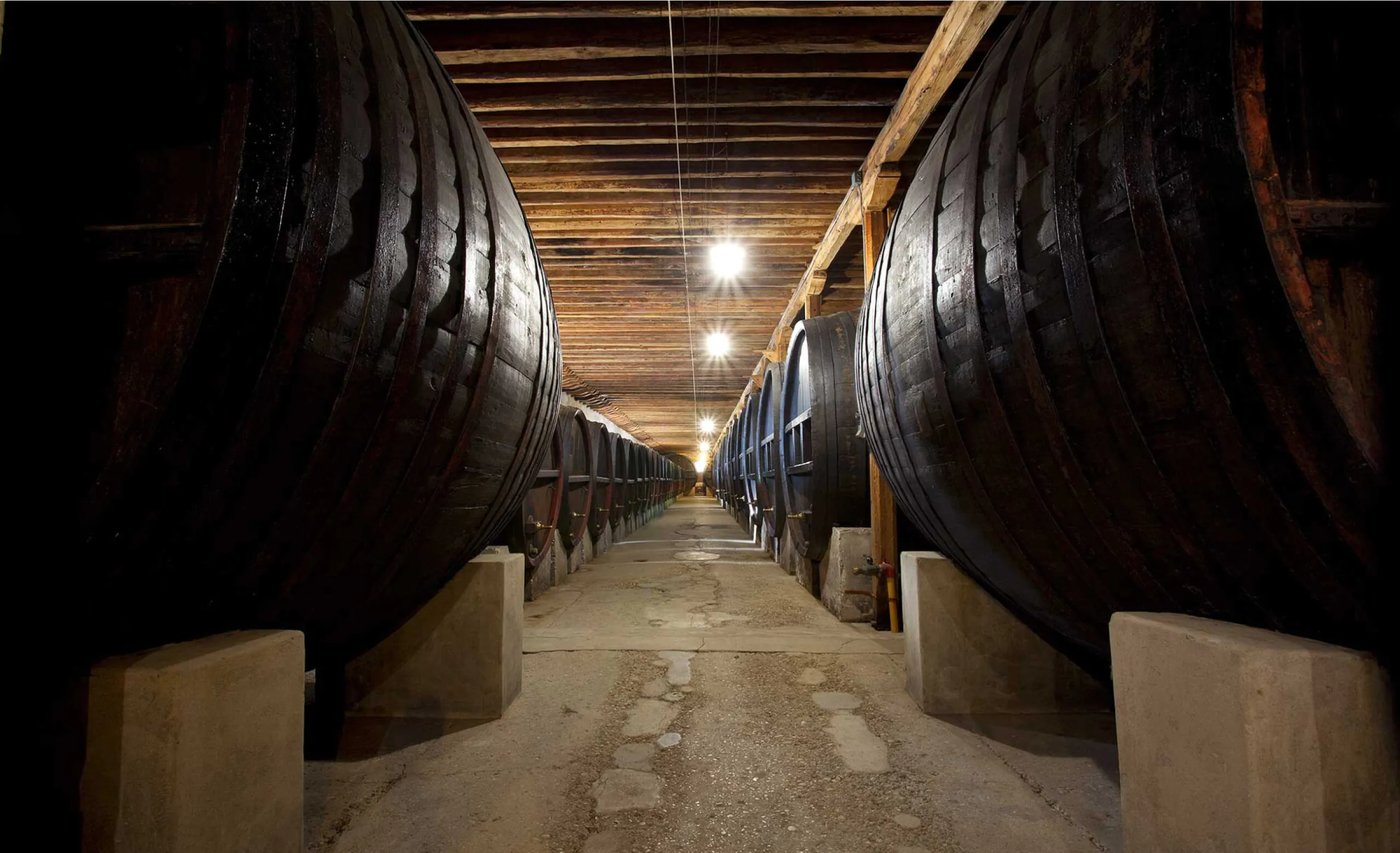 Tenuta Giol — foto 3